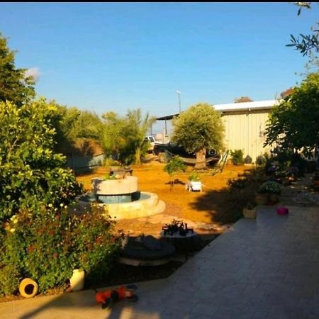 Apartmán בחצר של טובה Hazon Exteriér fotografie