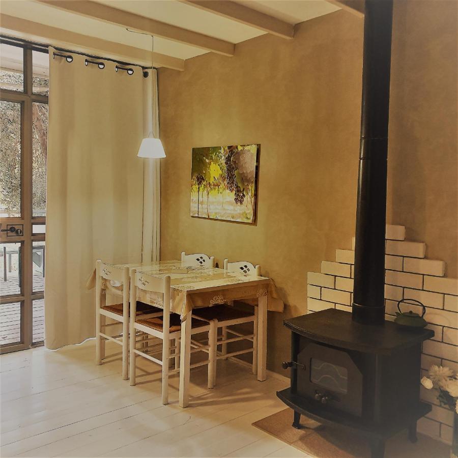 Apartmán בחצר של טובה Hazon Exteriér fotografie