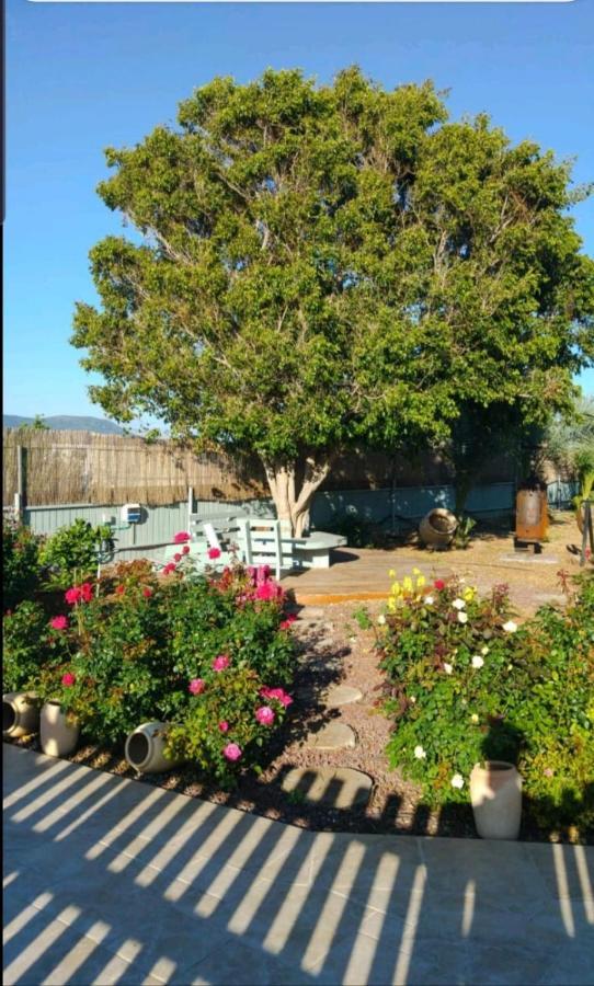 Apartmán בחצר של טובה Hazon Exteriér fotografie