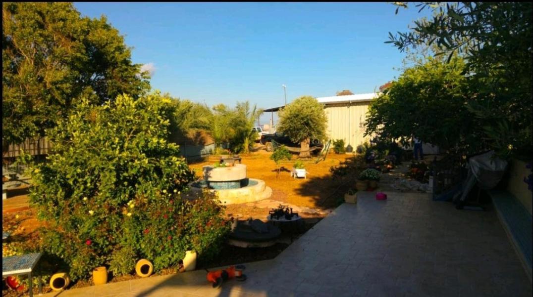 Apartmán בחצר של טובה Hazon Exteriér fotografie